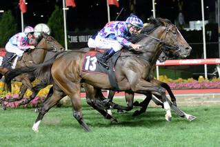 Princess Jenni (NZ) scores her first black-type win with a stylish performance. Photo: Darryl Sherer